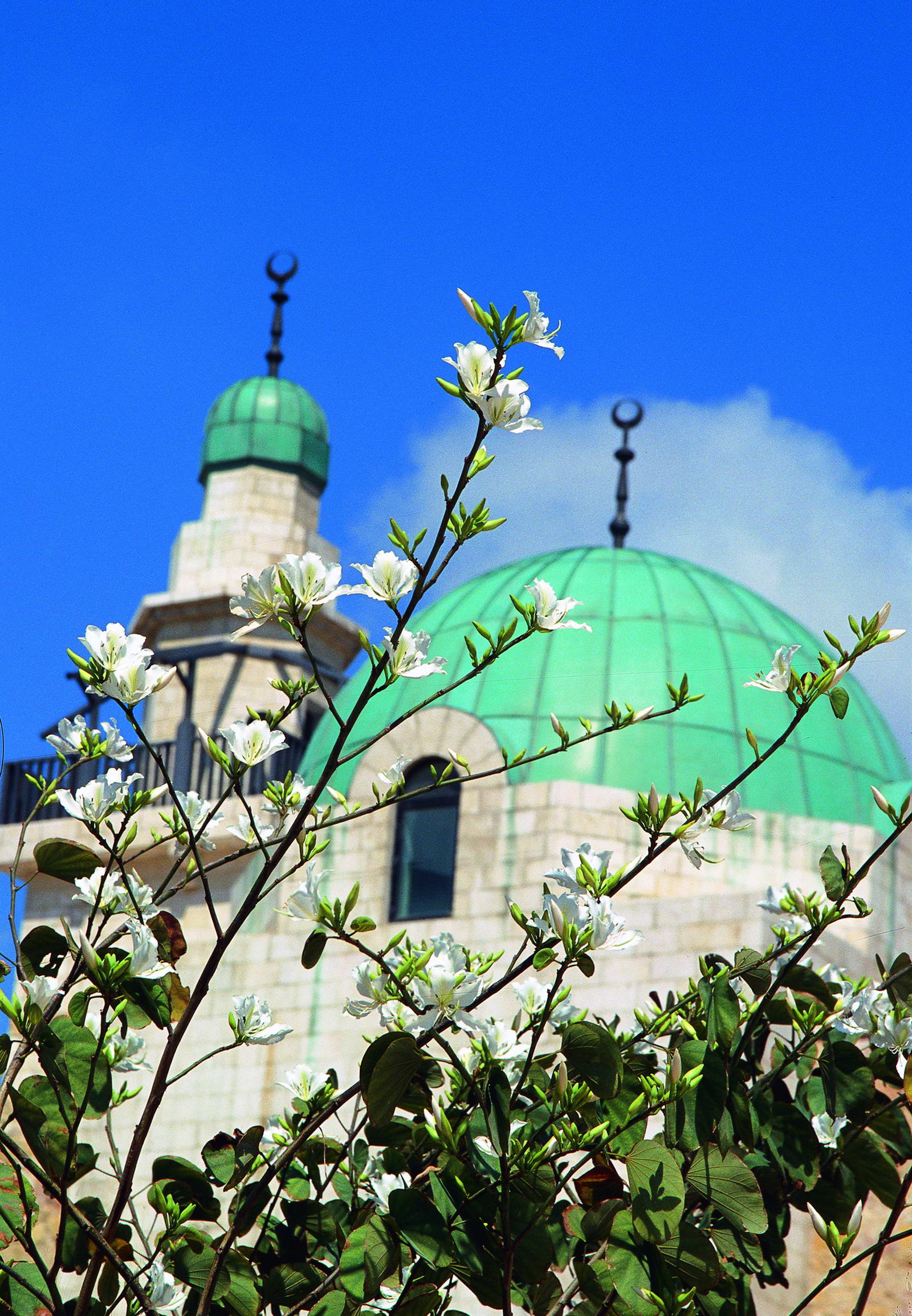 Growing Tourism in Jordan: What You Need to Know